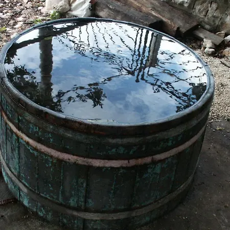 By The Sea Babine Kuce, Mljet - 611