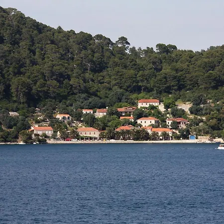 Apartment By The Sea Babine Kuce, Mljet - 611 Goveđari