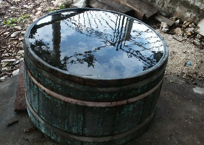 By The Sea Babine Kuce, Mljet - 611