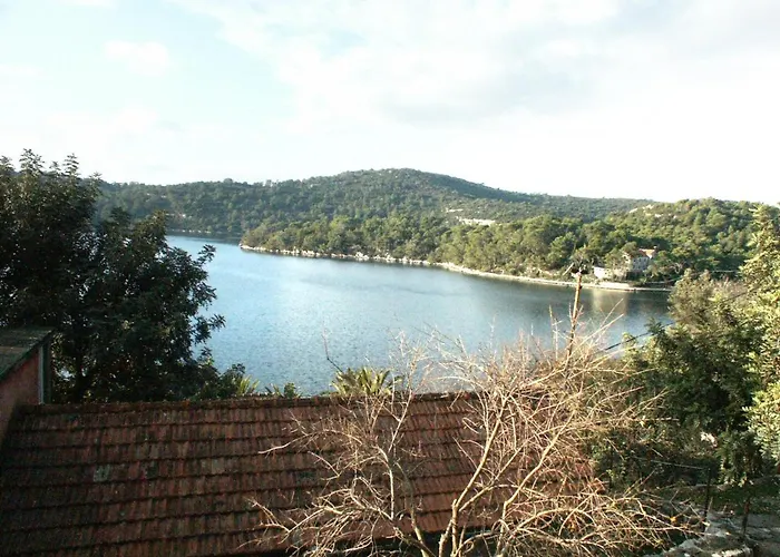 By The Sea Babine Kuce, Mljet - 611 公寓 古维达里